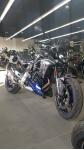 BMW F900R